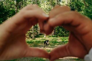 Truly North Photography - 3