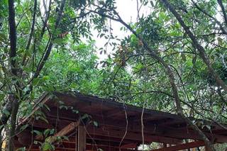 Redland Koi Gardens - 12