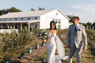 Ever After Farms Blueberry - 12