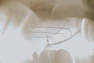 Wish Photography - 8