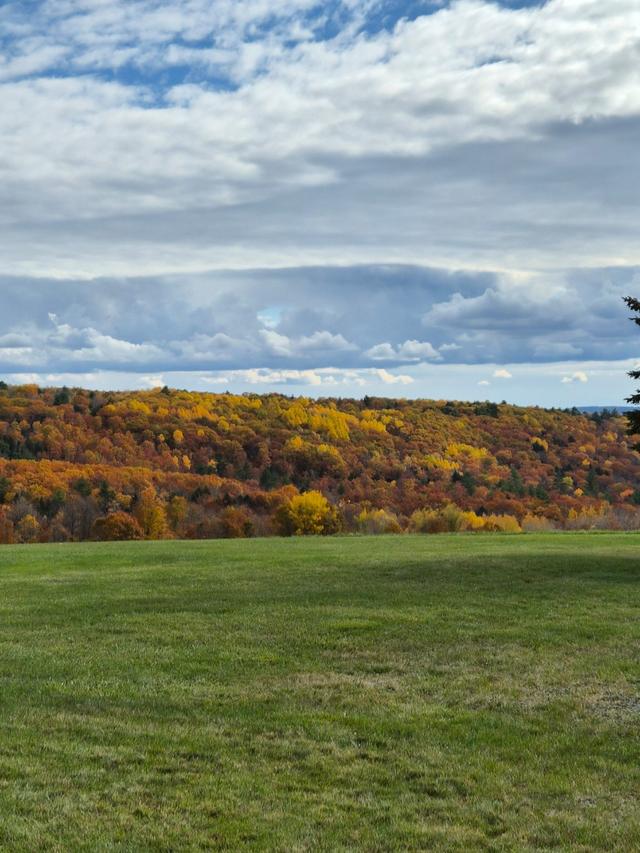 Arbella Acres - 4
