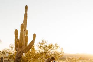McDowell Mountain Golf Club - 12