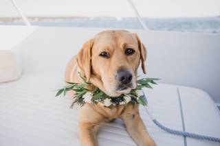 Shelley's Flowers & Gifts - 13