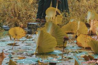 Nick Schluth Photography - 9