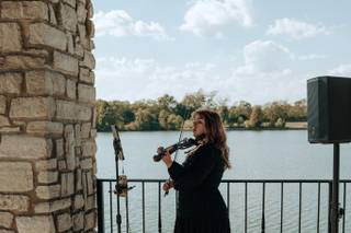 Elegant Violin - 7