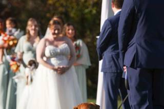 Oh Snap Photography LLC - 12
