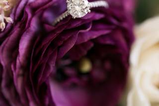 Ashley Bartoletti Photography - 12