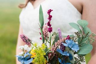 Diana Bellack Photography - 7