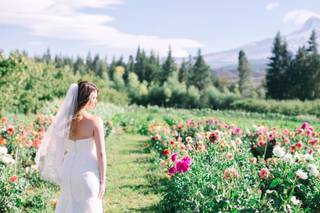 Mt View Orchards Weddings - 14