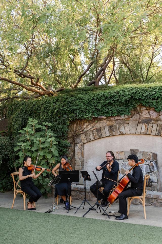 Synchronicity Strings - 2