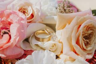 Allison Nicole Photo LLC - 6