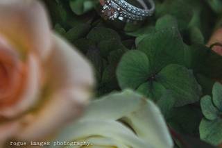 Rogue Images Photography - 25