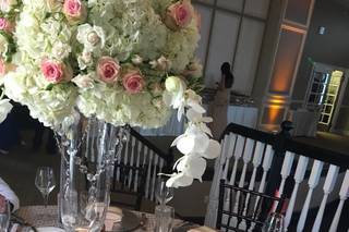 The Don CeSar - 59