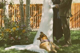Green Fox Events & Guest Services - 6