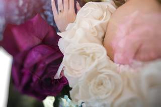 Susan Stripling Photography - 5