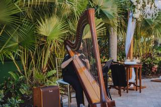 The Elegant Harp - 25
