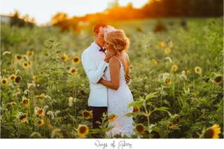 Wings Of Glory Photography - 16