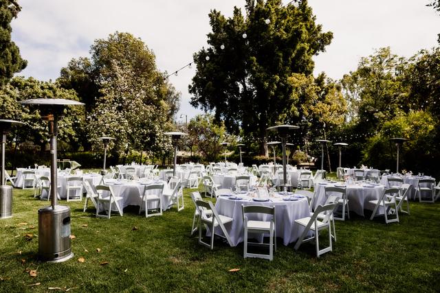 Taryn Collins & Co - 3