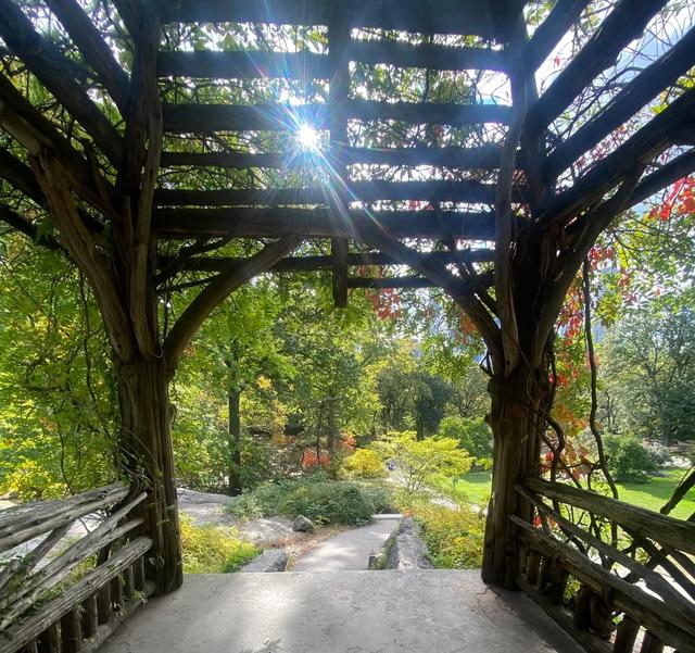 Eva Engman Officiant - 1