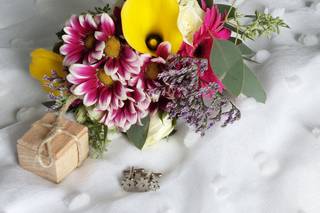 Francis Wedding Officiants, LLC - 1