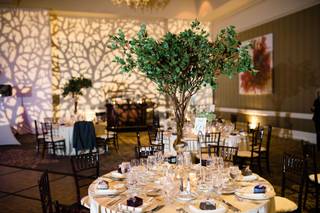 EEP Events: Entertainment, Lighting, Planning and Multimedia Production - 11