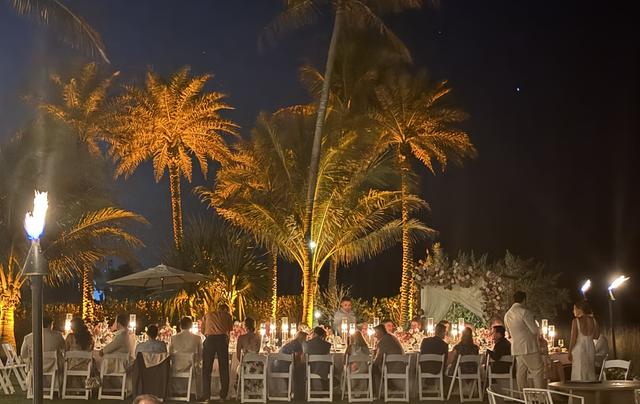 The Wedding Planner MD - 4