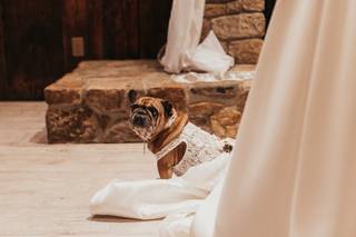 Tyler Norman Photography - 12