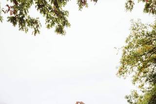 Amy Weits Photography & Designs - 25