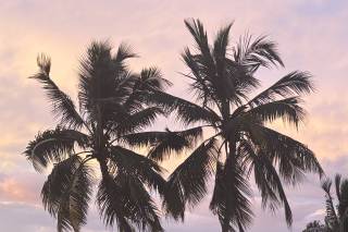 Key Largo Lighthouse Beach Weddings - 36