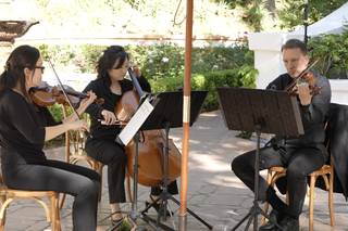 OC Strings - 5