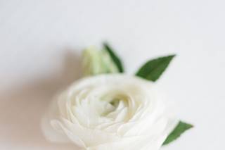 Vivian Lin PHOTOGRAPHY - 5