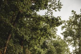 Hollandsworth Photography - 34