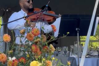 Alto Music & Entertainment - 1
