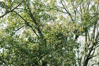 Celeste Hernandez Photography - 23