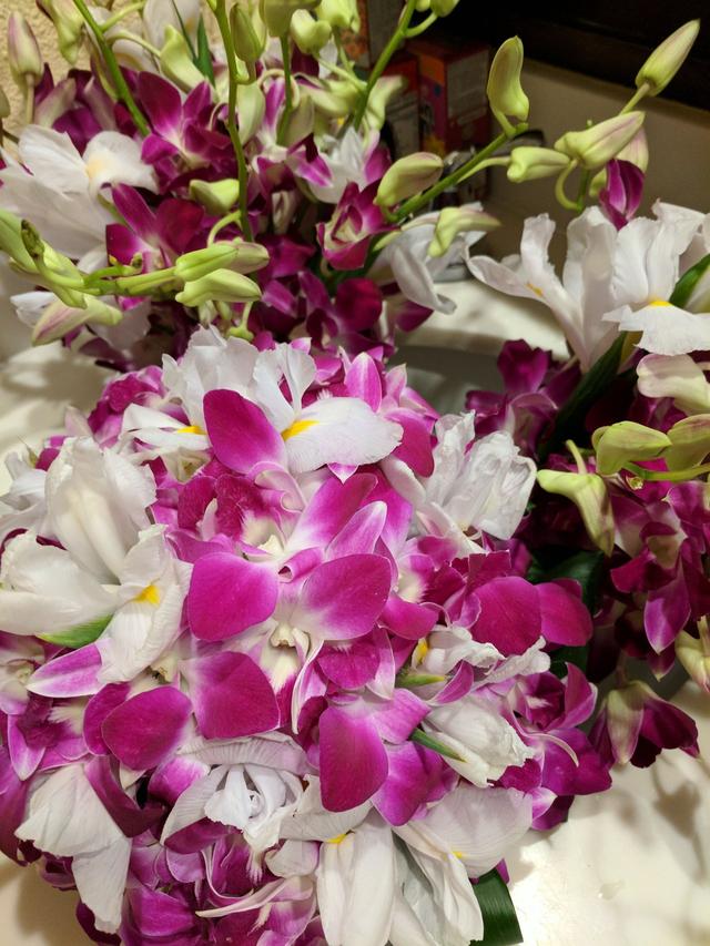 Ilima Flowers - 3