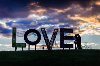 Diana Bellack Photography - 22