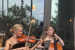 Stellar Strings - 5