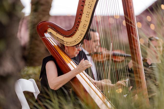 The Elegant Harp - 1