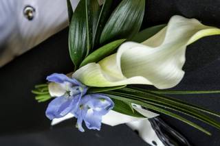 Anything With Plants & Flowers - 5
