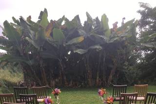Sunshower Weddings - 60