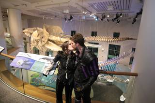 North Carolina Museum of Natural Sciences - 13