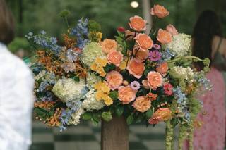 Willow Blu - 11