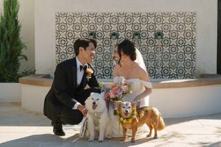 I Dog Too - Wedding Pet Attendant - 16