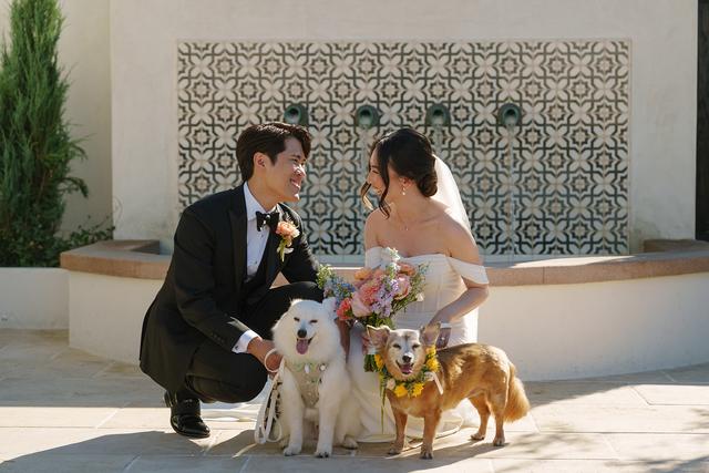 I Dog Too - Wedding Pet Attendant - 4