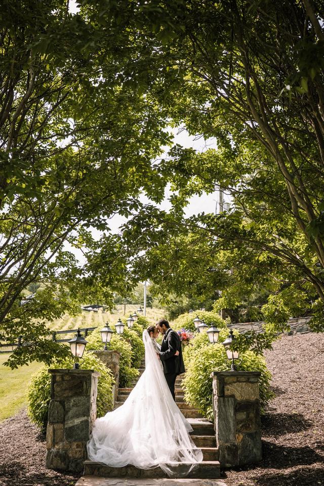 Bakerture Photo & Video - 2