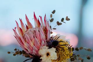 Wind + Sky Photography - 5