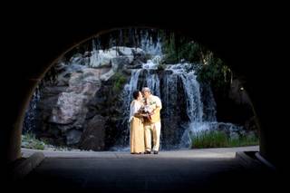 Brad Zangwill Photography - 6