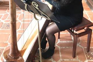 Valerie Saint Martin, Harpist & Opera Singer - 17