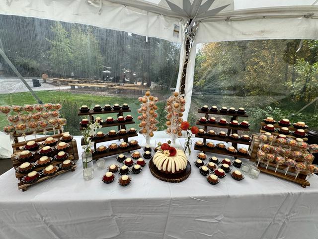 Pam Zola Weddings - 3