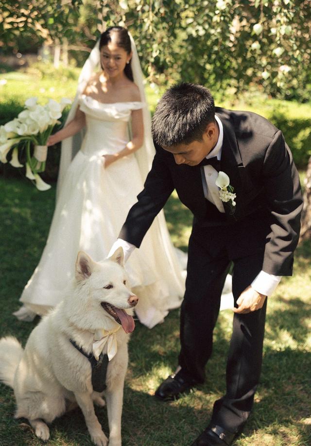 Hart 2 Paw - 2